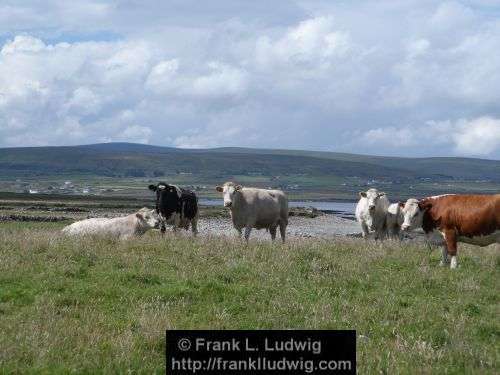 Around Downpatrick Head